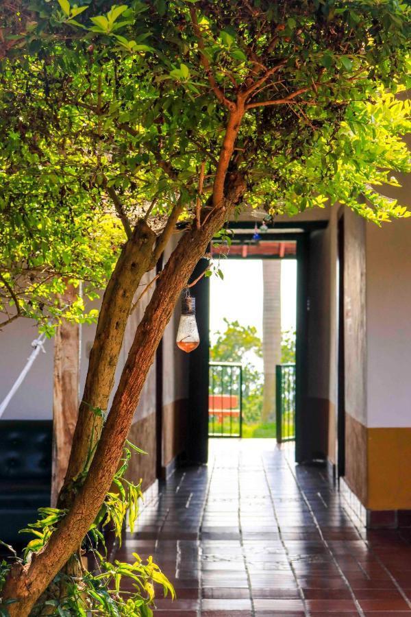 圣希尔 La Hacienda旅舍 外观 照片