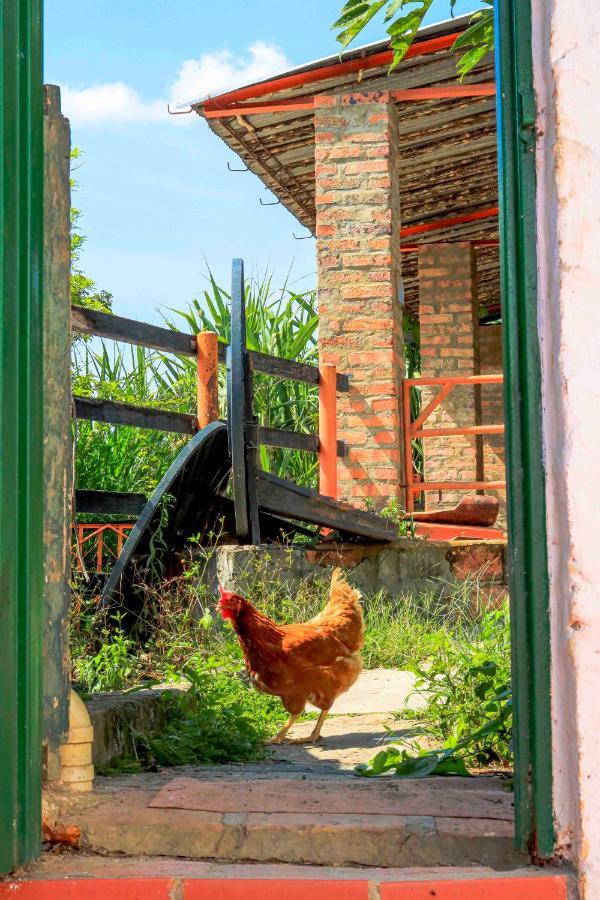 圣希尔 La Hacienda旅舍 外观 照片